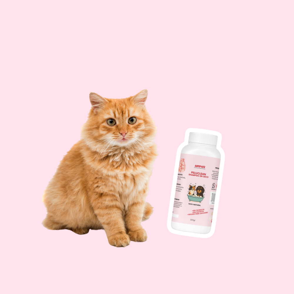 Shampoo en seco antipulgas, ideal para gatos